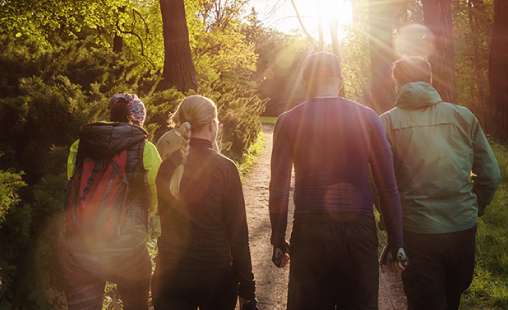 An image from behind a group of people walking through the woods and heading into the sunset.